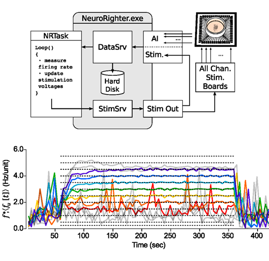 Closed-Loop, Multichannel Experimentation Using the Open-Source NeuroRighter Electrophysiology Platform